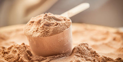 Whey Protein! – Is It Right For You?