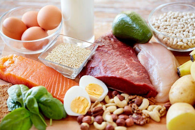 Protein Power! – The Best High Protein Foods For Muscle Recovery