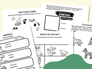 THIRD GRADE ANIMALS WORKSHEETS
