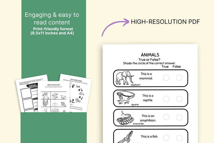 THIRD GRADE ANIMALS WORKSHEETS