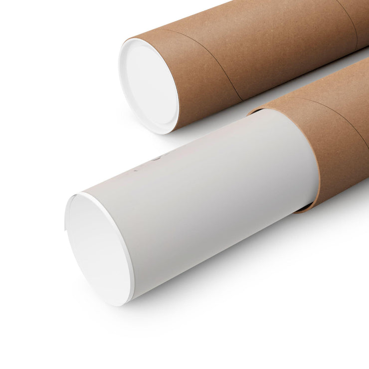 Flamingo and Chick Beach Art Print rolled and packaged in a protective tube for safe delivery