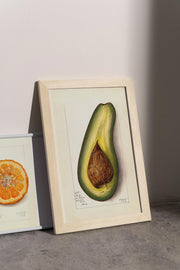 Avocado Art Print - Matte Finish | Vintage Botanical Canvas -Vertical Posters