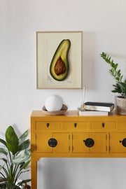 Avocado Art Print - Matte Finish | Vintage Botanical Canvas -Vertical Posters