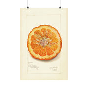 Vibrant Orange Slice - Matte Finish Poster Print Wall Art