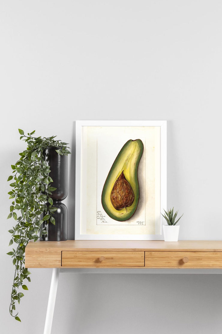 Avocado Art Print - Matte Finish | Vintage Botanical Canvas -Vertical Posters