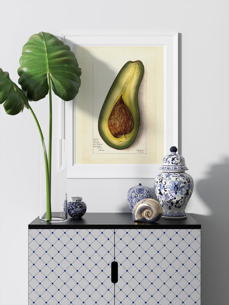 Avocado Art Print - Matte Finish | Vintage Botanical Canvas -Vertical Posters