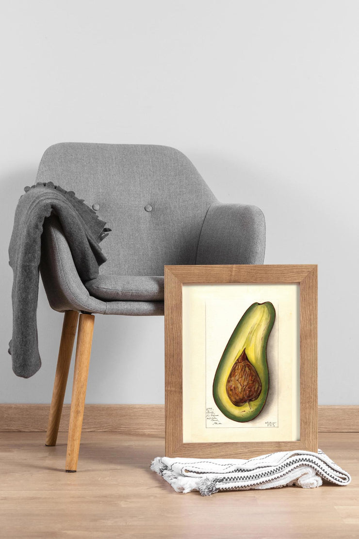 Avocado Art Print - Matte Finish | Vintage Botanical Canvas -Vertical Posters