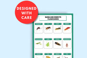 Colorful Bugs and Insects Flashcards | Printable Learning Tool for Kids and Classrooms | Educational Bug Identification Flashcards