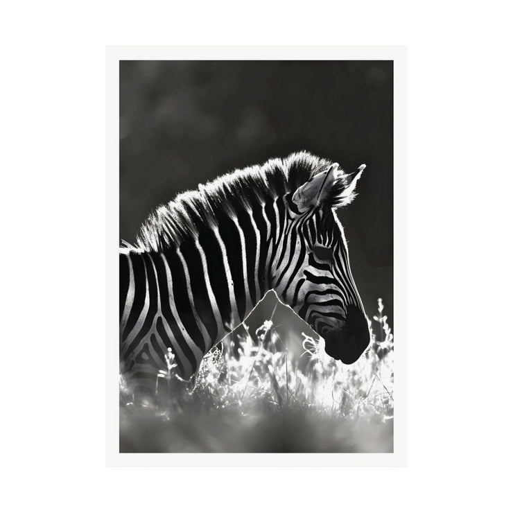 Black and White Zebra Wall Art Poster – Modern Wildlife Photography Print on Premium Matte Paper, Available in Multiple Sizes