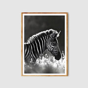 Black and White Zebra Wall Art Poster – Modern Wildlife Photography Print on Premium Matte Paper, Available in Multiple Sizes