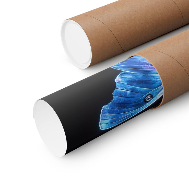 Luminous Blue Butterfly wall Art Print rolled in a kraft paper tube for stylish home decor