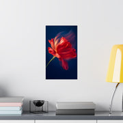 Red Rose in motion poster featuring a vibrant flower design against a dark background