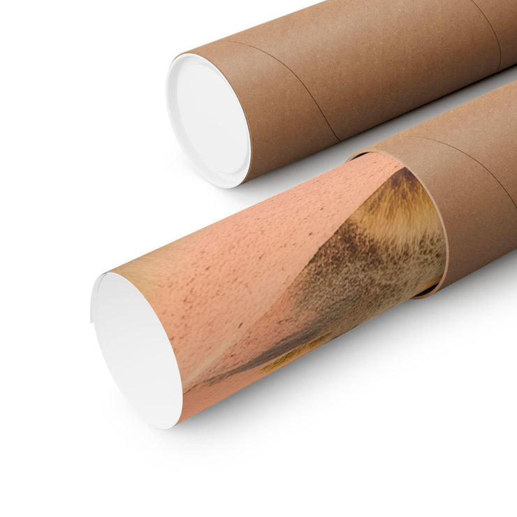 Desert Mountain Wall Art rolled in a protective tube for easy storage and display