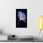 Vertical Poster X Ray Flower Art Print wall art showcasing a delicate flower design on a dark background